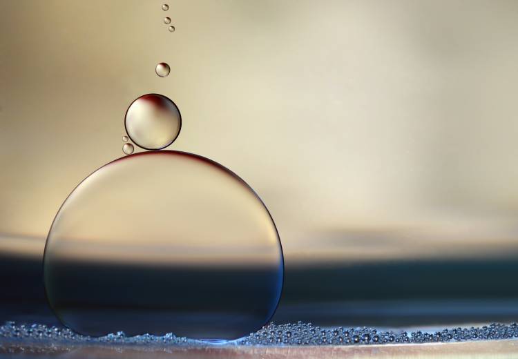 the stragglers von Heidi Westum