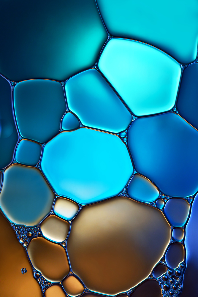 Different shapes ll von Heidi Westum