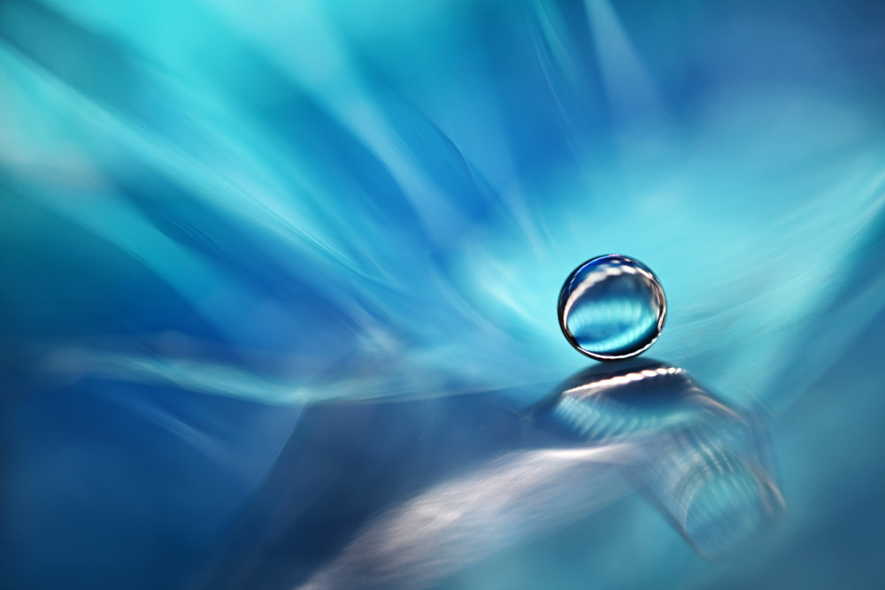 Zen zone von Heidi Westum