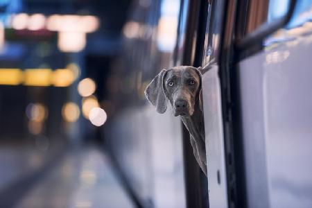 Good Bye, Hamburg (No.3)