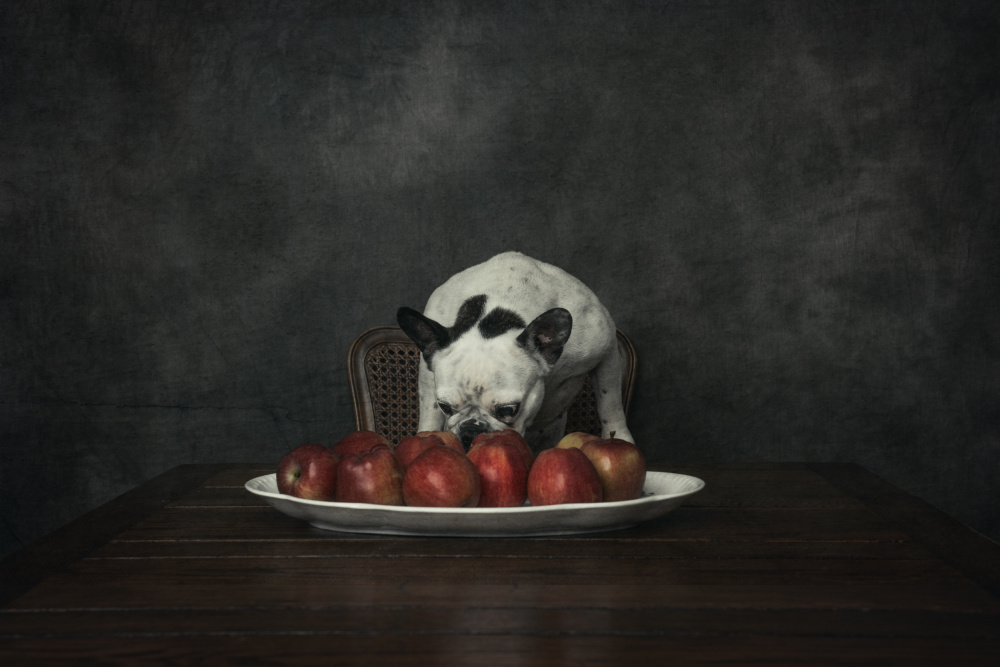 Please...Tell me your secret von Heike Willers