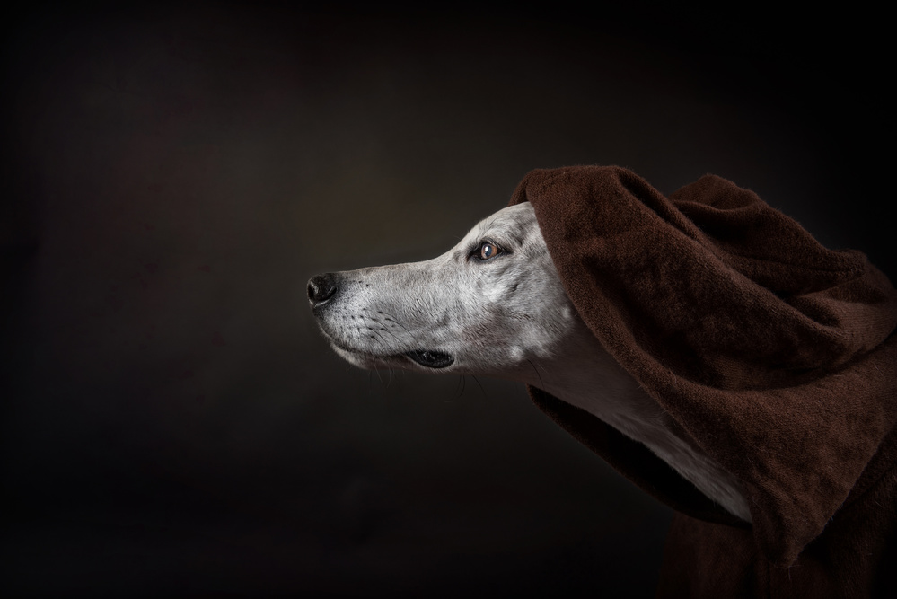 The Name of The Rose (Umberto Ecco) von Heike Willers