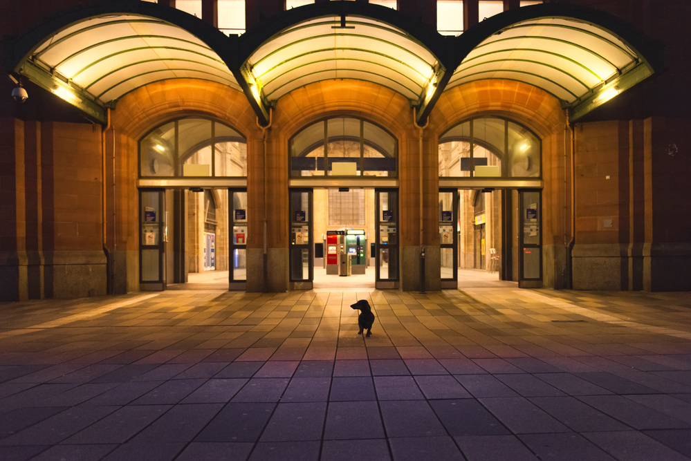 NO MANS LAND von Heike Willers