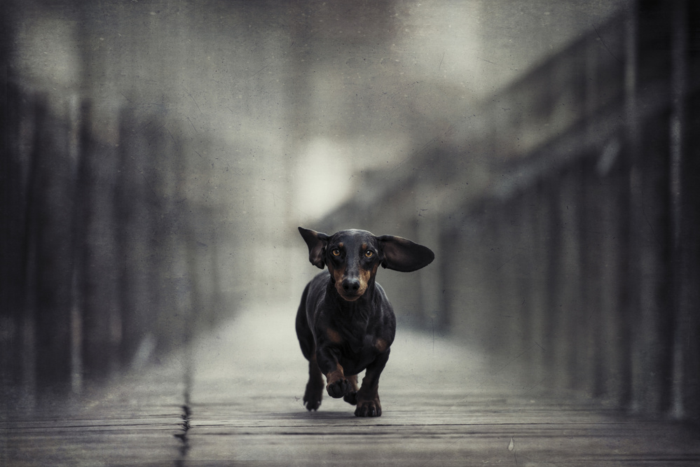 &quot;Cities, like dreams, are made of desires and fears.&quot; (Italo Calvino) von Heike Willers