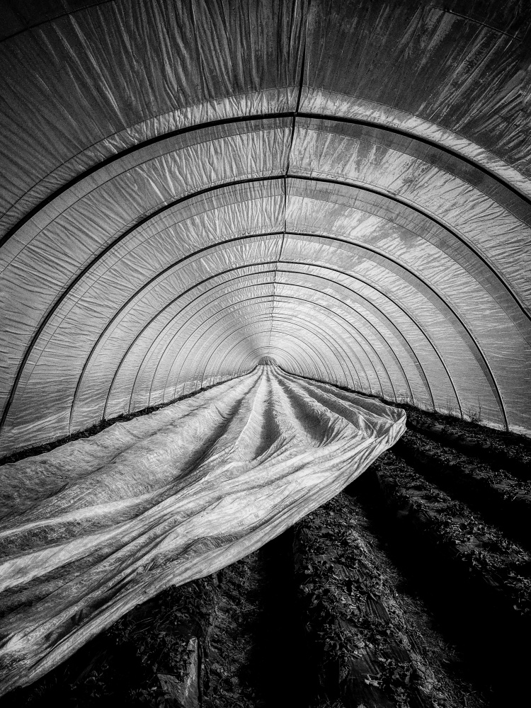 Covered von Heike Wolters-Wrase