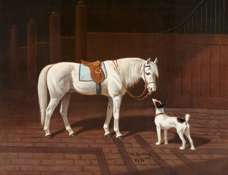 Pferd. von Heinrich Sperling