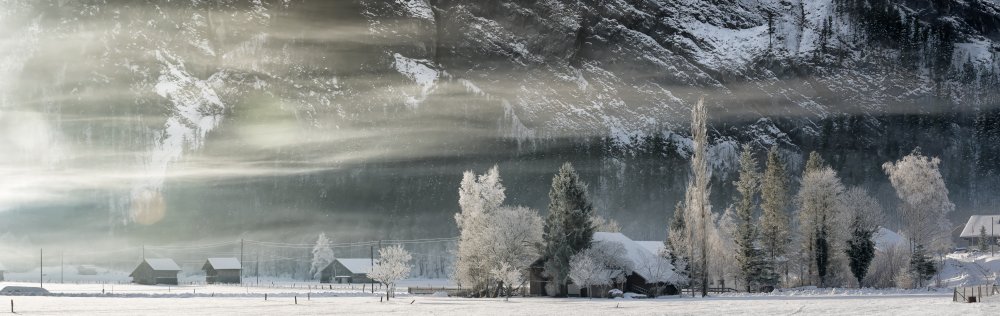 stiff pinch von Heinz Hieke