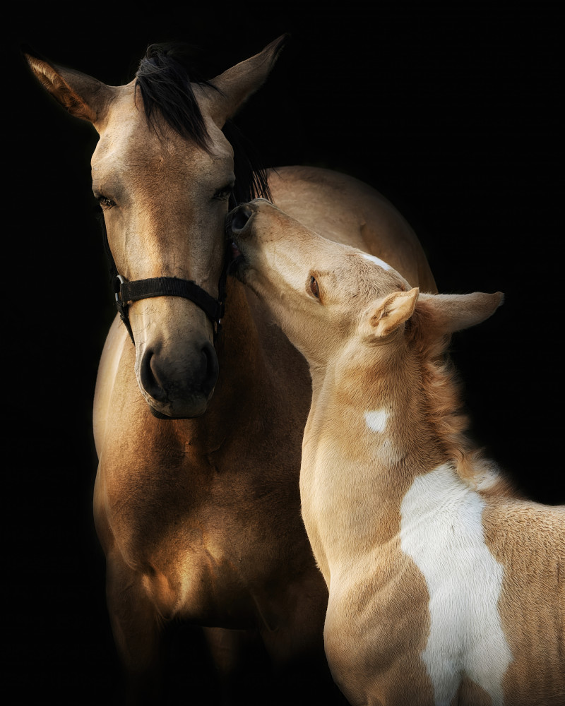 I love you mommy von Helena GARCIA HUERTAS