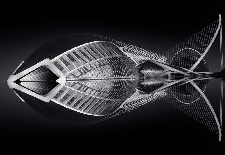 Like fish in the water