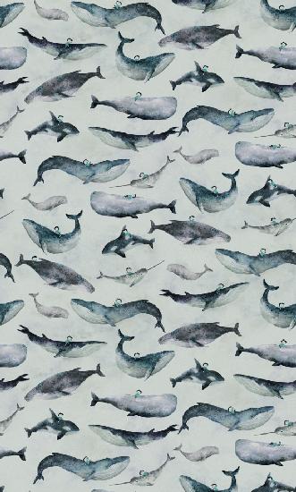 Hl008  Whale Boy   1806mm X 3000mm