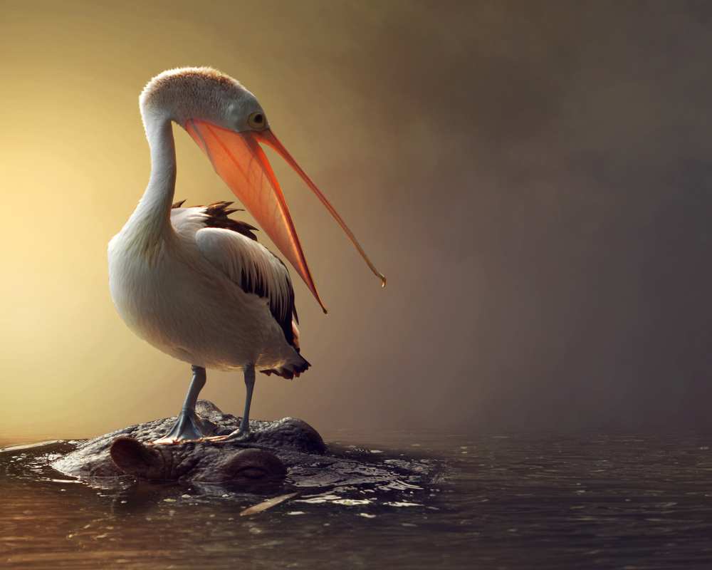 comfortable von Hendra Yudhiarto M