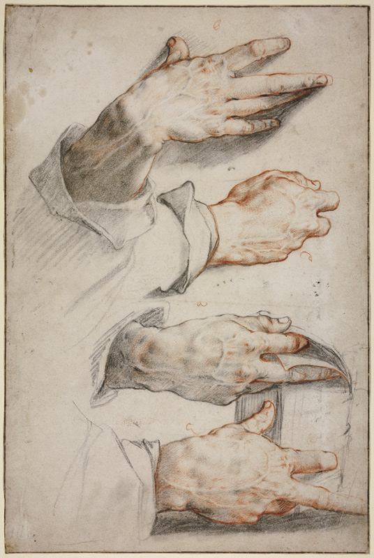 Vier Studien einer rechten Hand von Hendrick Goltzius