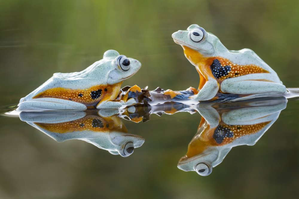 Best friend von Hendy Mp