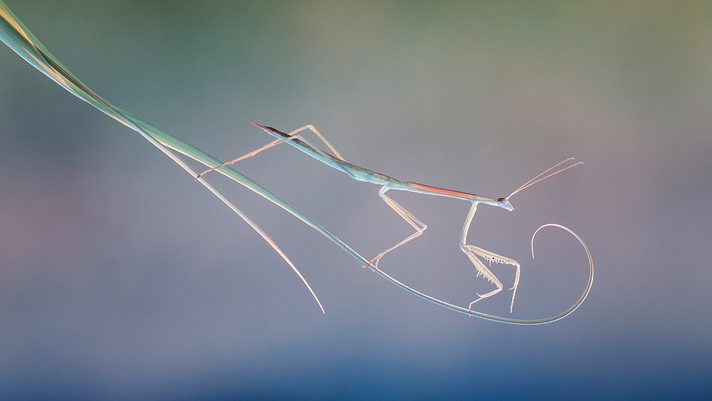 End of the road von Hendy Mp