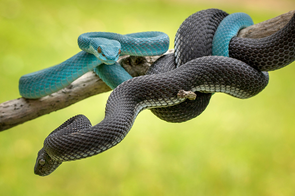 untitledl von Hendy Mp