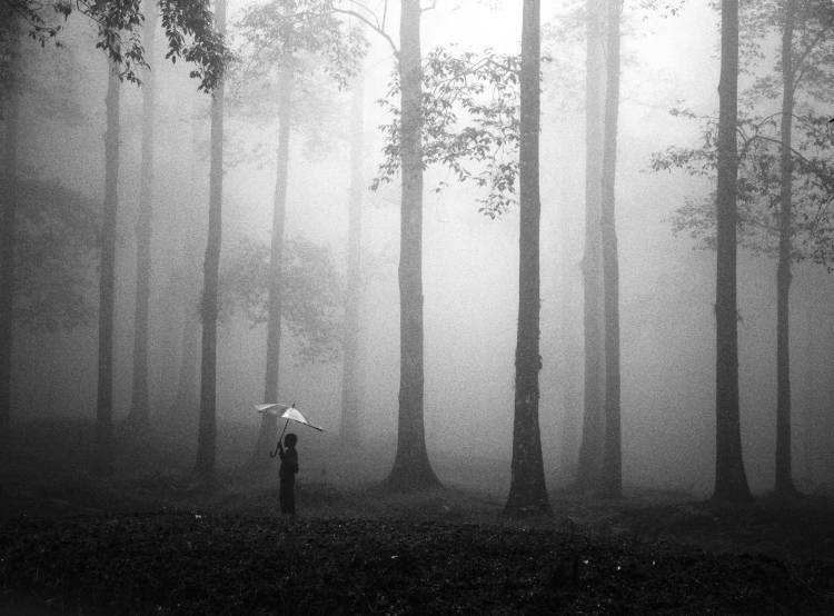After The Rain von Hengki Lee