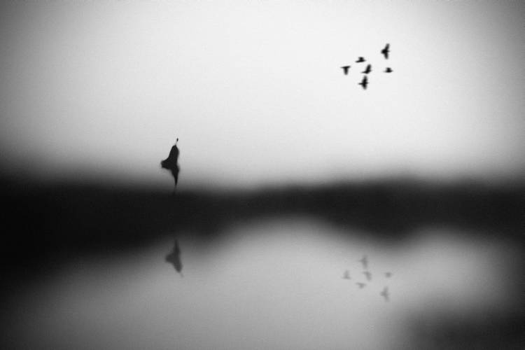 Conscience von Hengki Lee