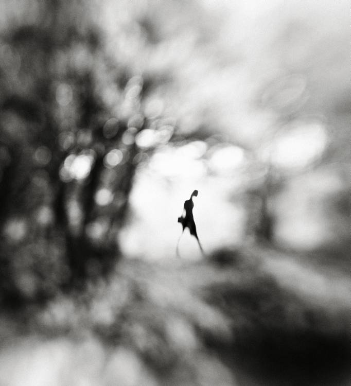 Equinox von Hengki Lee