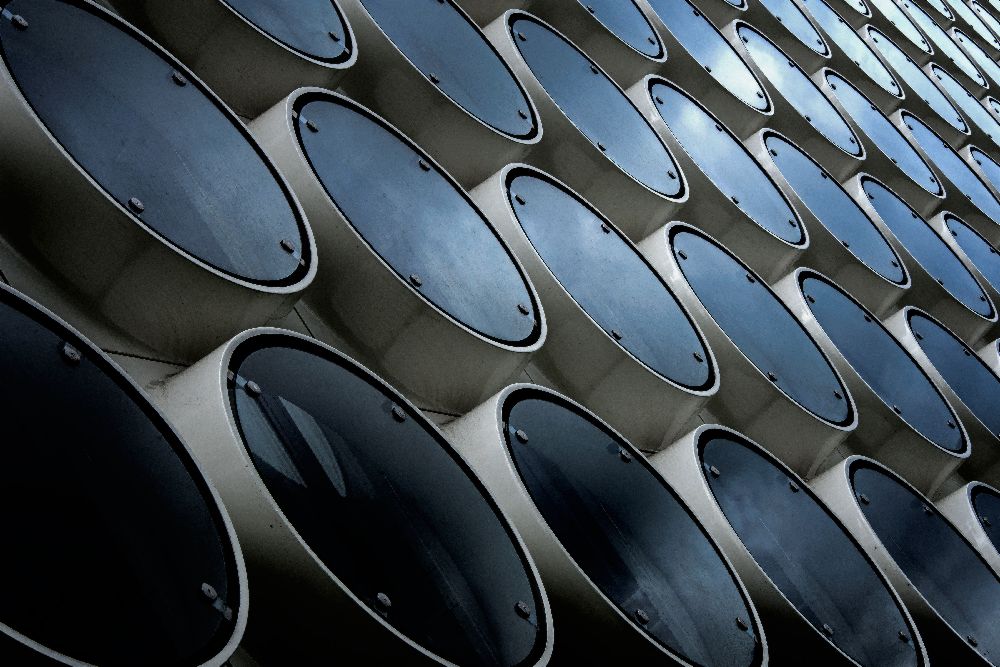 Förster von Henk Van Maastricht