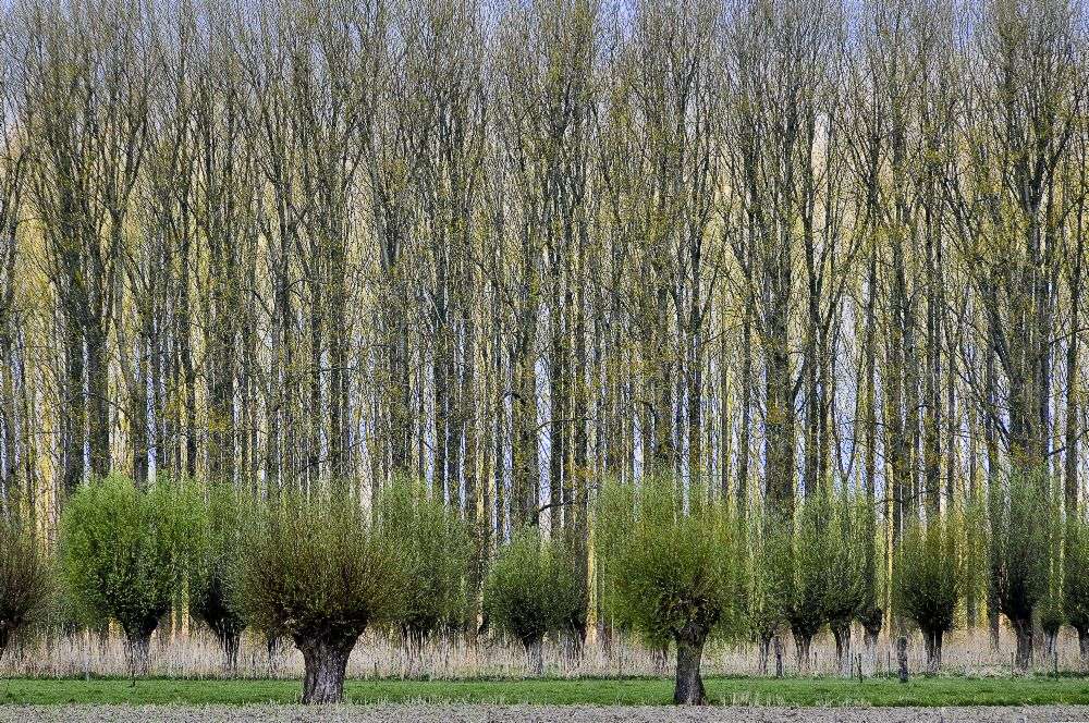 Schichten von Henk Van Maastricht