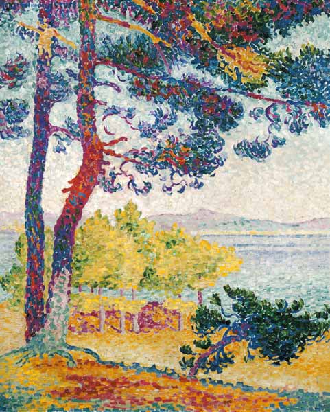 Afternoon at Pardigon, Var von Henri-Edmond Cross
