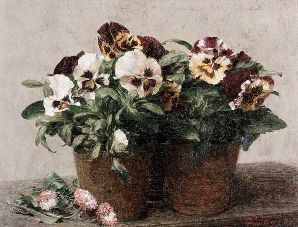 Still Life of Pansies and Daisies