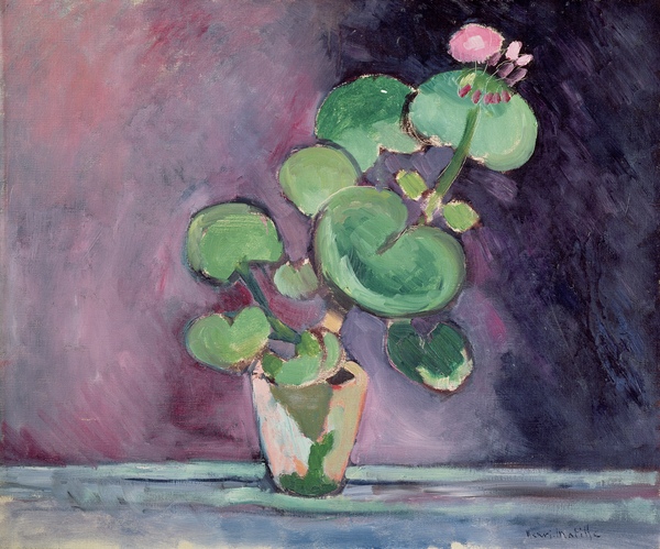 Geranium in a pot von Henri Matisse