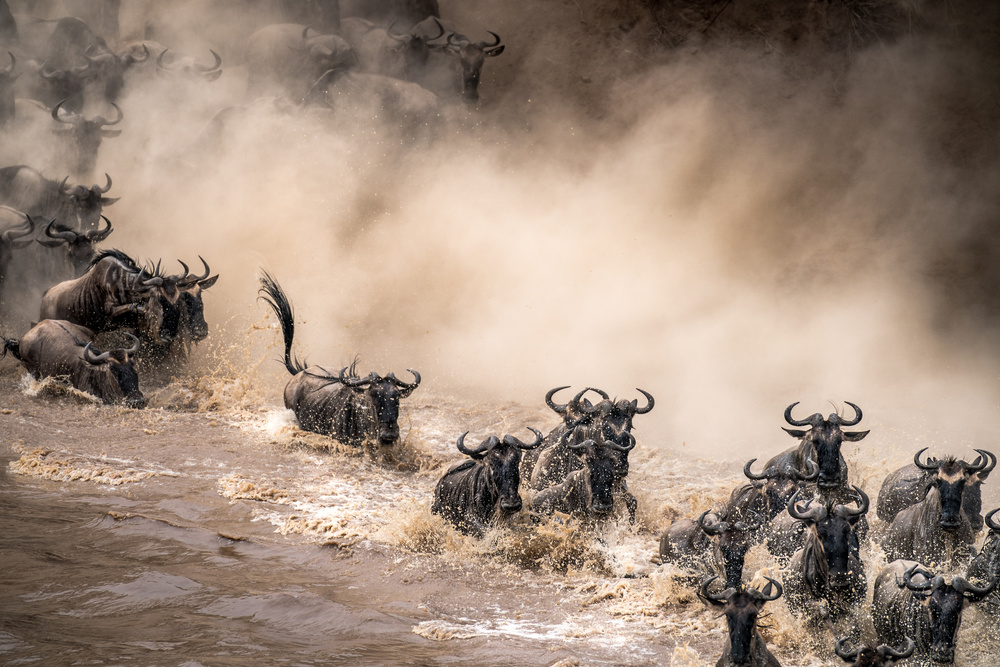 No matter what... von Henrike Scheid