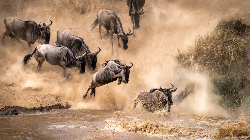 untitledl von Henrike Scheid