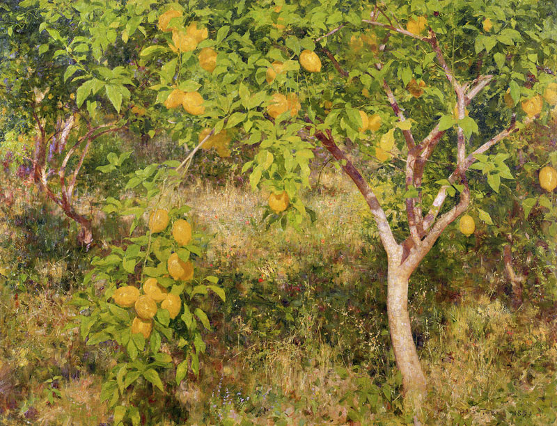 The Lemon Tree von Henry Scott Tuke