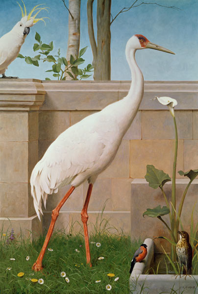 Indian Crane, Cockatoo, Bullfinch and Thrush von Henry Stacey Marks