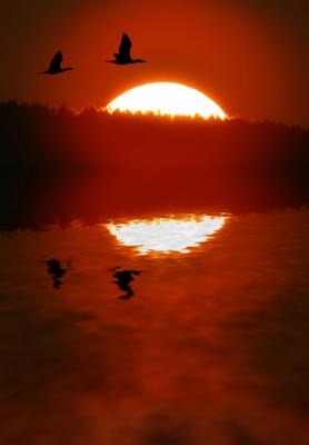 Abendstimmung (3) von Herbert Reimann