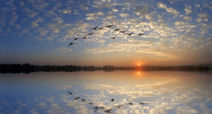 Morgens am See von Herbert Reimann