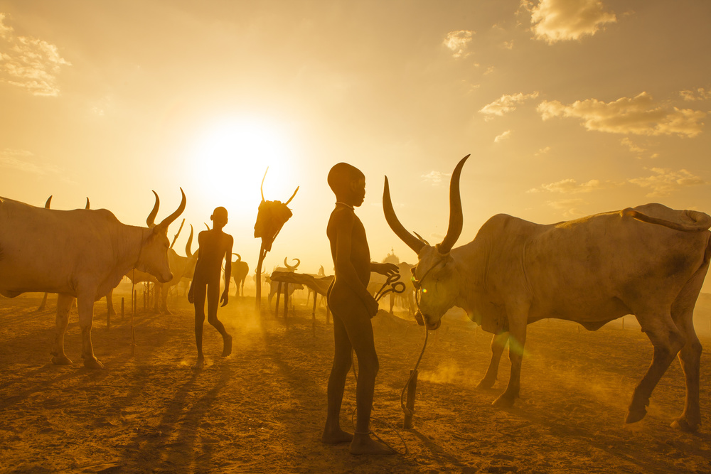 Early Morning .. von Hesham Alhumaid