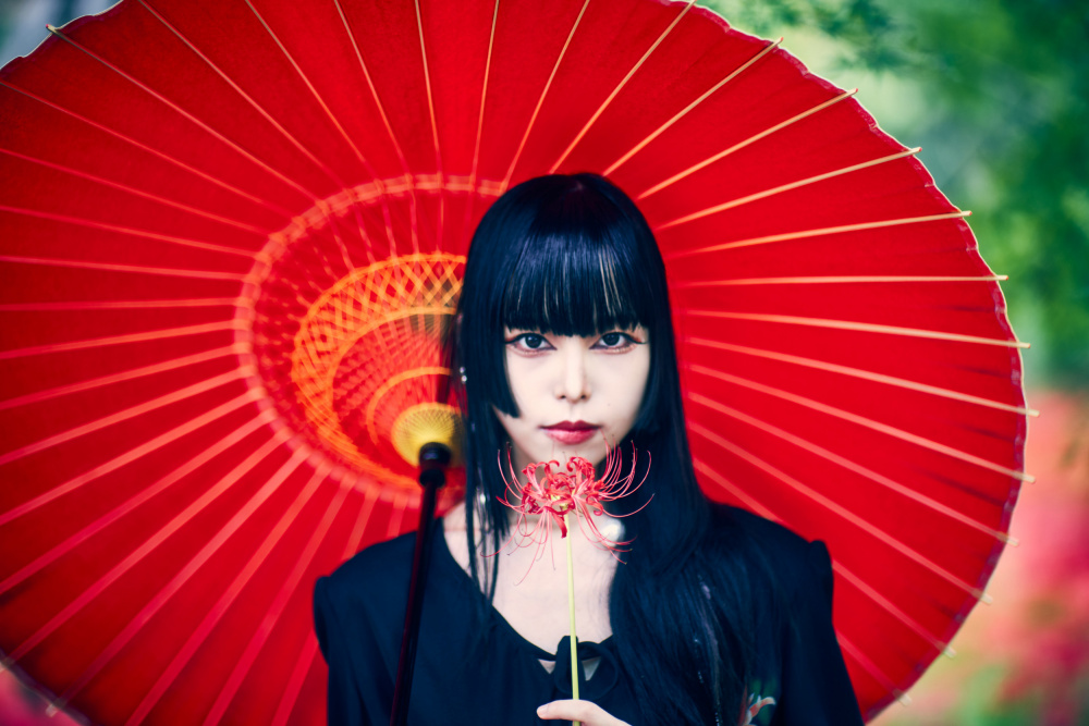 red spider lilies von hideaki sato