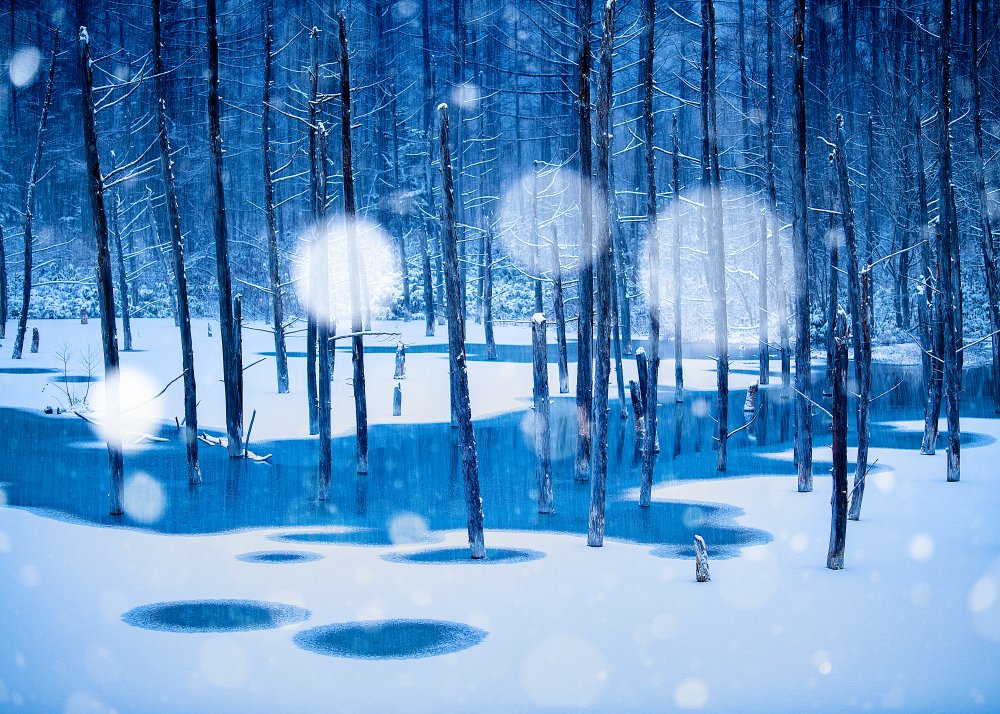 Fairyland von Hidenori Sono