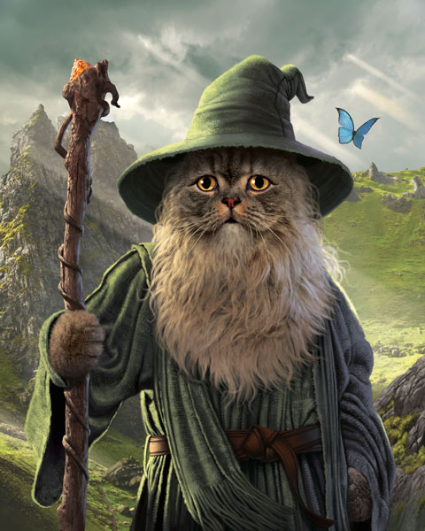 Catdalf von Vincent Hie