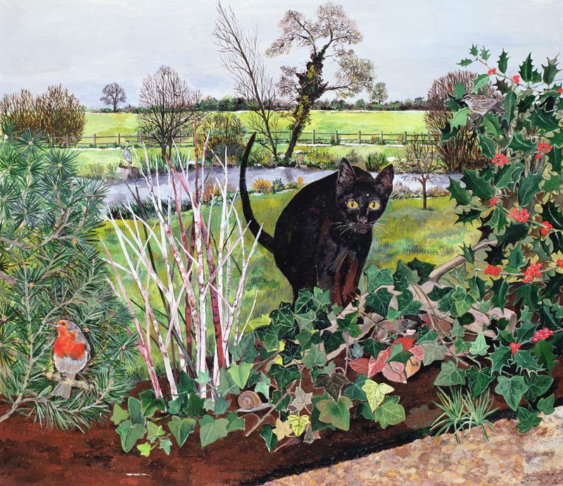 Winter Cat  von Hilary  Jones