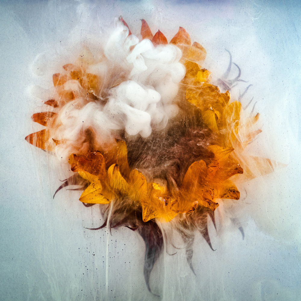 Ocean Creature von Hilda Champion