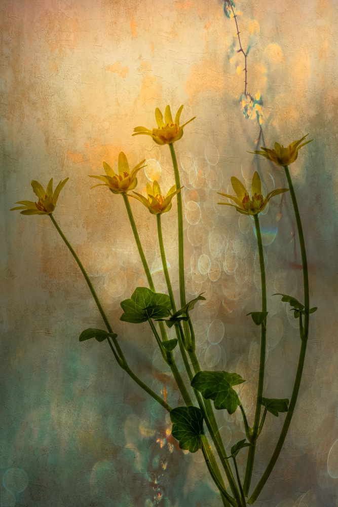 Frivolous yellow von Hilda van der Lee