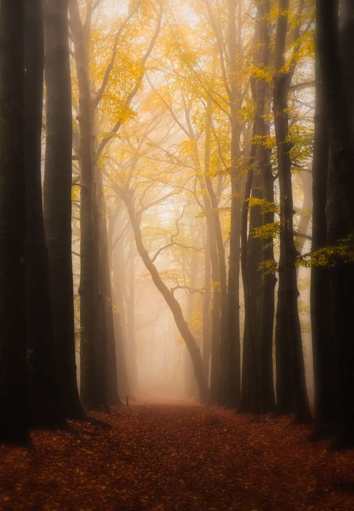 lean on me von Hilda van der Lee