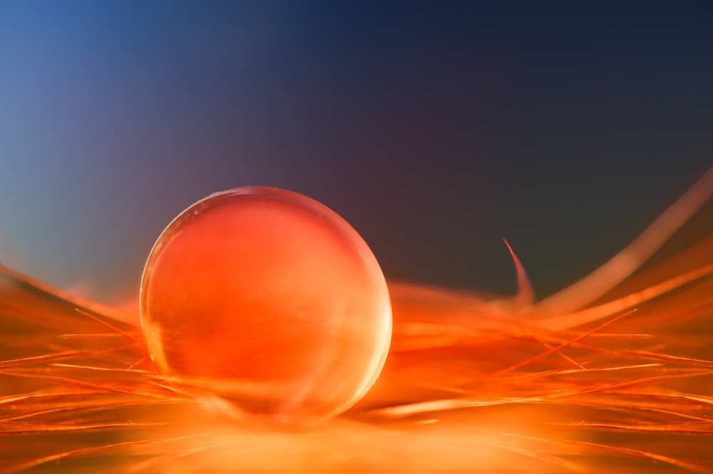 Fire von Hilde Ghesquiere