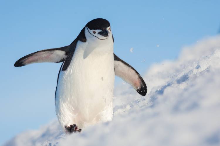 Running up that hill von Hillebrand Breuker
