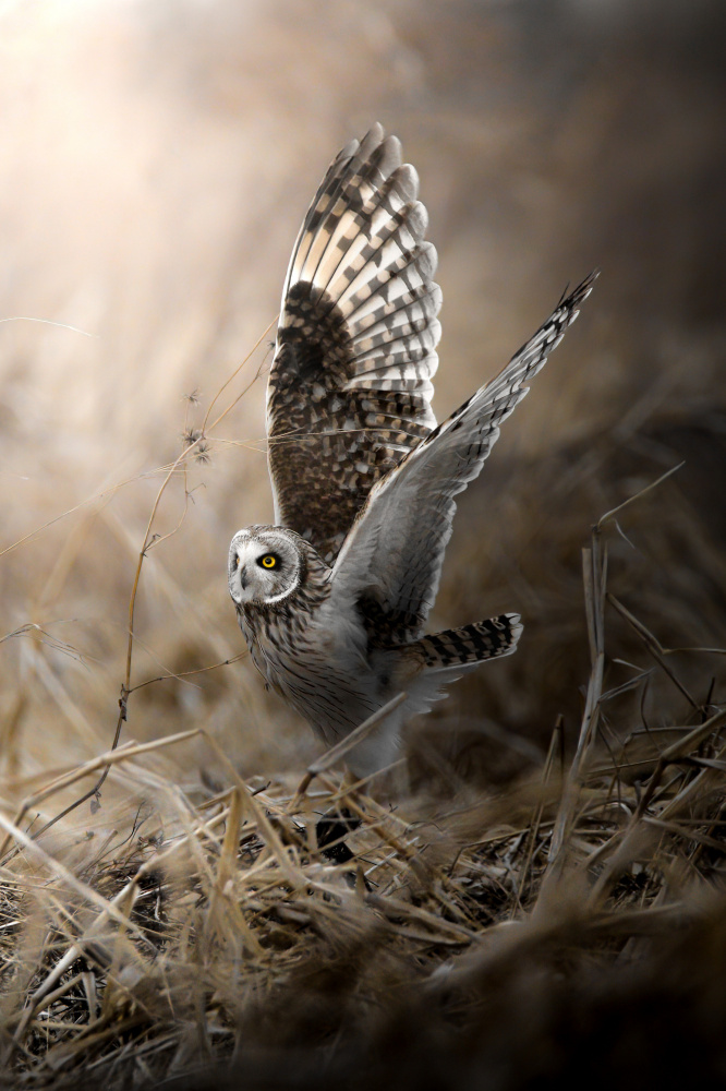 To the sky. von まちゅばら/Hiroki Matsubara