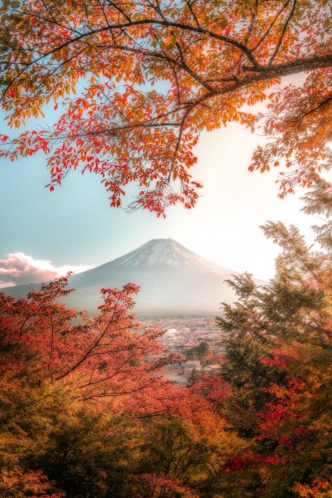 Beautiful Autumn in Japan von まちゅばら/Hiroki Matsubara