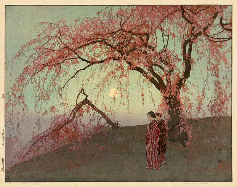 Kumoi Cherry Trees (Kumoi sakura) von Yoshida Hiroshi