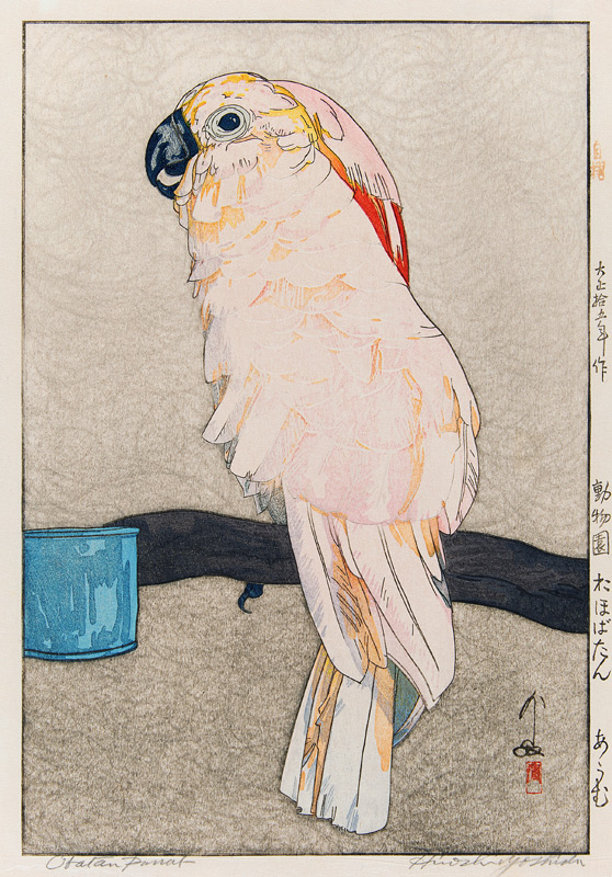 Obatan Sittich von Yoshida Hiroshi