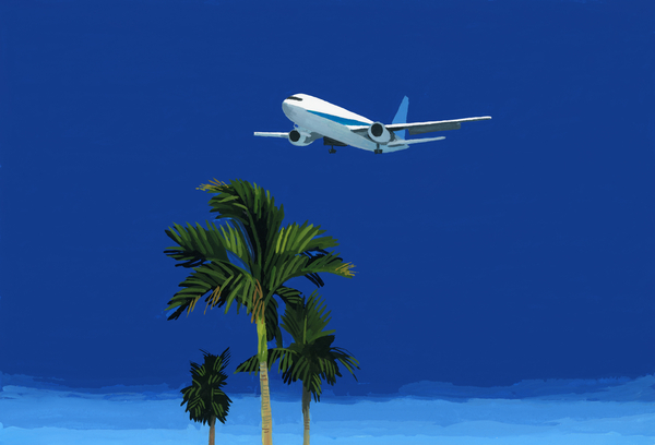 Airplane and palm tree von Hiroyuki Izutsu