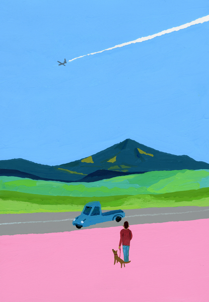 Airplane and pick up truck and dog and meadow von Hiroyuki Izutsu