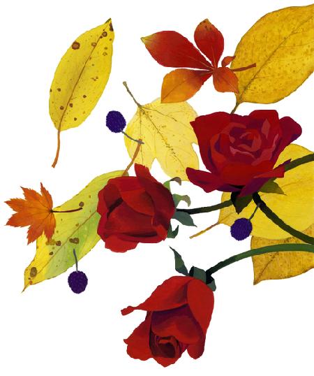Autumn leaves and rose